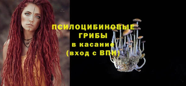 стаф Семёнов