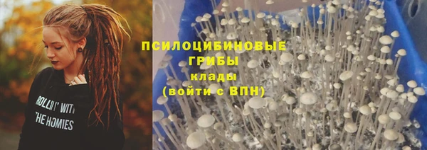 стаф Семёнов